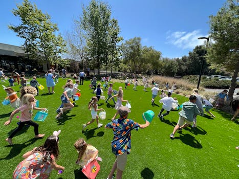 Community event in a San Francisco park